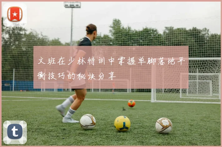 文班在少林特训中掌握单脚落地平衡技巧的秘诀分享